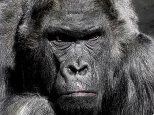 ಬ್ಯಾಡ್ ಬಾಸ್ ಎಂದು ಮುಖಸಿಂಡರಿಸಿಕೊಳ್ಳಬೇಡಿ, ಅವರಿಂದ ಎಷ್ಟೆಲ್ಲಾ ಪ್ರಯೋಜನವಿದೆ ಗೊತ್ತಾ?