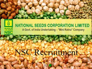 ರಾಷ್ಟ್ರೀಯ ಬೀಜ ನಿಗಮ ನೇಮಕಾತಿ 2019: 260 ವಿವಿಧ ಹುದ್ದೆಗಳಿಗೆ ಅರ್ಜಿ ಆಹ್ವಾನ