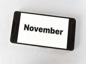 Important Days In November 2020: ನವೆಂಬರ್ ತಿಂಗಳಿನಲ್ಲಿರುವ ಪ್ರಮುಖ ದಿನಗಳ್ಯಾವು ?