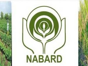 NABARD Prelims Admit Card 2021 : ಪ್ರವೇಶ ಪತ್ರ ಡೌನ್‌ಲೋಡ್ ಮಾಡುವುದು ಹೇಗೆ ?