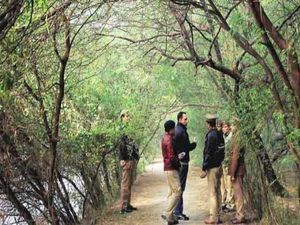Career In Forestry : ಅರಣ್ಯ ಕ್ಷೇತ್ರದಲ್ಲಿ ಕೆರಿಯರ್ ರೂಪಿಸಿಕೊಳ್ಳುವುದು ಬೇಸ್ಟ್ ..ಕಾರಣಗಳು ಇಲ್ಲಿವೆ