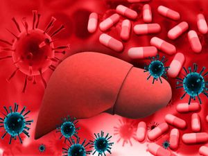 World Hepatitis Day 2022 : ವಿಶ್ವ ಹೆಪಟೈಟಿಸ್ ದಿನದ ಇತಿಹಾಸ, ಮಹತ್ವ ಮತ್ತು ಥೀಮ್ ಇಲ್ಲಿದೆ