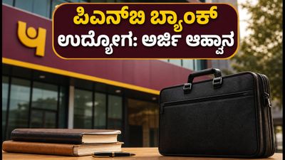 ಪಂಜಾಬ್ ನ್ಯಾಷನಲ್ ಬ್ಯಾಂಕ್‌ನಲ್ಲಿ 545 ಹುದ್ದೆಗಳ ಭರ್ಜರಿ ನೇಮಕಾತಿ: ಪದವೀಧರರಿಗೆ ಸುವರ್ಣಾವಕಾಶ!