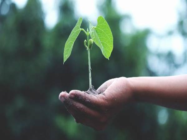 ವಿಶ್ವ ಪ್ರಕೃತಿ ಸಂರಕ್ಷಾ ದಿನವನ್ನು ಏಕೆ ಆಚರಿಸಲಾಗುತ್ತೆ ? ಇಲ್ಲಿದೆ ಮಾಹಿತಿ