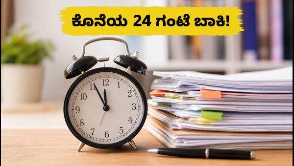 IBPS RRB 2026: ಅರ್ಜಿ ಸಲ್ಲಿಕೆಗೆ ಕೊನೆಯ ಅವಕಾಶ IBPS RRB 2026: ಅರ್ಜಿ ಸಲ್ಲಿಕೆಗೆ ಕೊನೆಯ ಅವಕಾಶ