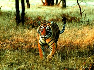 10, 12, மற்றும் கல்லுரி பாதியில் நிறுத்திய மாணவர்களுக்கு பயிற்சியுடன் வேலை வாய்ப்பு மிஸ் பண்ணாதீங்க!