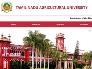 வேளாண் துறையில் கருணை அடிப்படையில் அரசுப் பணி!