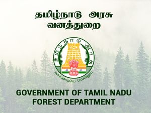10-வது தேர்ச்சியா? தமிழக வனத்துறையில் ரூ.52 ஆயிரம் ஊதியத்தில் வேலை
