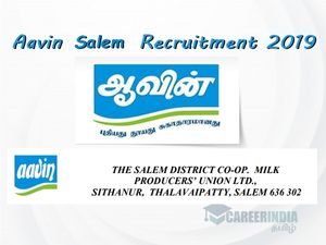 ரூ.1.20 லட்சம் ஊதியத்தில் ஆவினில் வேலை- அழைக்கும் தமிழக அரசு!