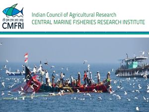 பட்டதாரி இளைஞர்களுக்கு மத்திய கடல் மீன்வள ஆராய்ச்சி நிறுவனத்தில் வேலை!