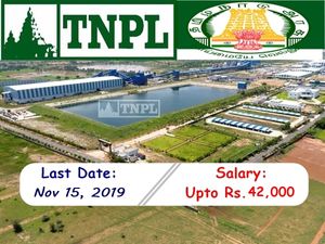 TNPL 2019: ரூ.42 ஆயிரம் ஊதியத்தில் தமிழக அரசு வேலை.! உடனே விண்ணப்பிக்கவும்..!