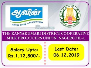 AAVIN 2019: ரூ.1.20 லட்சம் ஊதியத்தில் தமிழக அரசு வேலை- அழைக்கும் ஆவின் நிர்வாகம்!