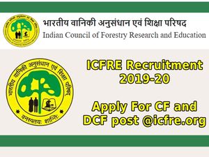ICFRE: பட்டதாரி இளைஞர்களுக்கான மத்திய அரசு வேலை வாய்ப்பு அறிவிப்பு!