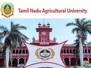 ரூ.50 ஆயிரம் ஊதியத்தில் வேளாண் பல்கலையில் வேலை- விண்ணப்பிக்கலாம் வாங்க!