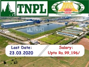 TNPL 2020: ரூ.1 லட்சம் ஊதியத்தில் தமிழக அரசு வேலை! அழைக்கும் டிஎன்பிஎல் நிர்வாகம்!