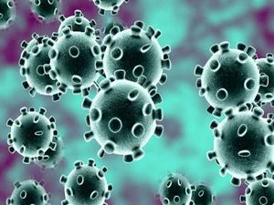 Coronavirus (COVID-19): கொரோனா காரணமாக நீட் தேர்வுகள் ஒத்திவைப்பு!