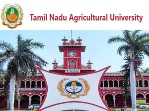 12-வது தேர்ச்சியா? தமிழ்நாடு வேளாண் பல்கலையில் கொட்டிக்கிடக்கும் வேலை வாய்ப்பு!