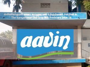 ரூ.62 ஆயிரம் ஊதியத்தில் கன்னியாகுமரியில் தமிழக அரசு வேலை- அழைக்கும் ஆவின் நிர்வாகம்!