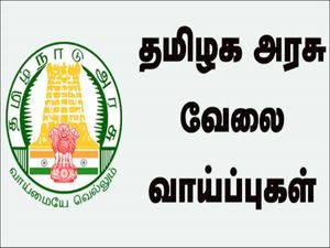 ரூ.2 லட்சம் ஊதியத்தில் தமிழ்நாடு தொடக்க மற்றும் புதுமை மிஷன் ஆணையத்தில் வேலை வாய்ப்பு!