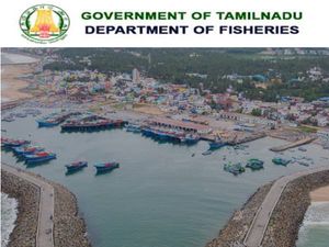 TNPSC மீன் துறை ஆய்வாளர் பணி 2022:விலங்கியல் படிச்சிருக்கீங்க? ரூ.1.19 லட்சத்தில் வேலை...!