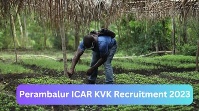 Perambalur KVK Stenographer Recruitment 2023:  பெரம்பலூர் யூத்ஸ்… சுருக்கெழுத்து தெரியும்?