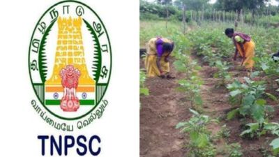 ஹலோ வாங்க... வனத்தொழில் பழகுனர் தகுதிப் பட்டியல் வெளியீடு