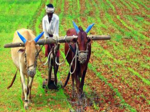 விவசாயிகளின் வளர்ச்சி நாட்டின் வளர்ச்சியை குறிக்கும்