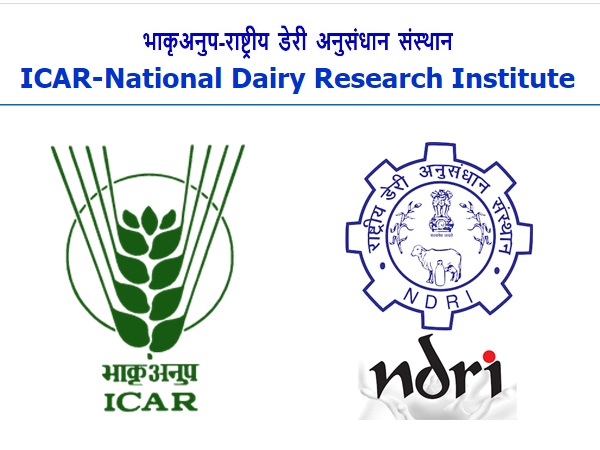 ரூ.35 ஆயிரம் ஊதியத்தில் தேசிய பால் ஆராய்ச்சி நிறுவனத்தில் வேலை வாய்ப்பு! ரூ.35 ஆயிரம் ஊதியத்தில் தேசிய பால் ஆராய்ச்சி நிறுவனத்தில் வேலை வாய்ப்பு!