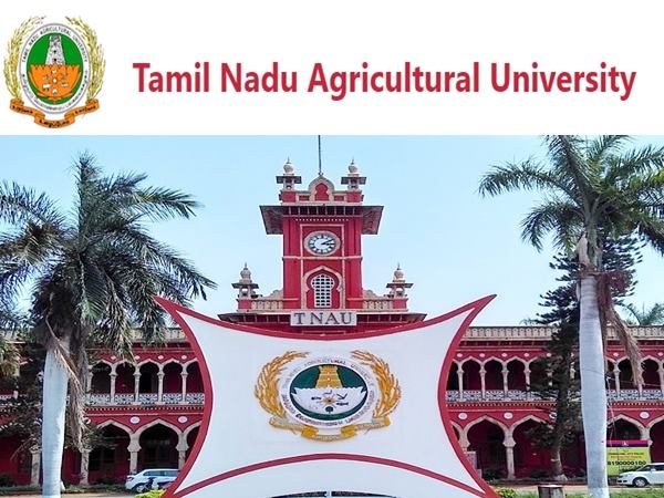 ரூ.35 ஆயிரம் ஊதியத்தில் தமிழ்நாடு வேளாண் பல்கலையில் TNAU பணியாற்ற ஆசையா? ரூ.35 ஆயிரம் ஊதியத்தில் தமிழ்நாடு வேளாண் பல்கலையில் TNAU பணியாற்ற ஆசையா?