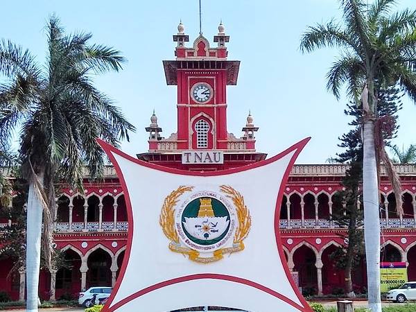 ரூ.45 ஆயிரம் ஊதியத்தில் தமிழ்நாடு வேளாண் பல்கலையில் வேலை வாய்ப்பு! ரூ.45 ஆயிரம் ஊதியத்தில் தமிழ்நாடு வேளாண் பல்கலையில் வேலை வாய்ப்பு!