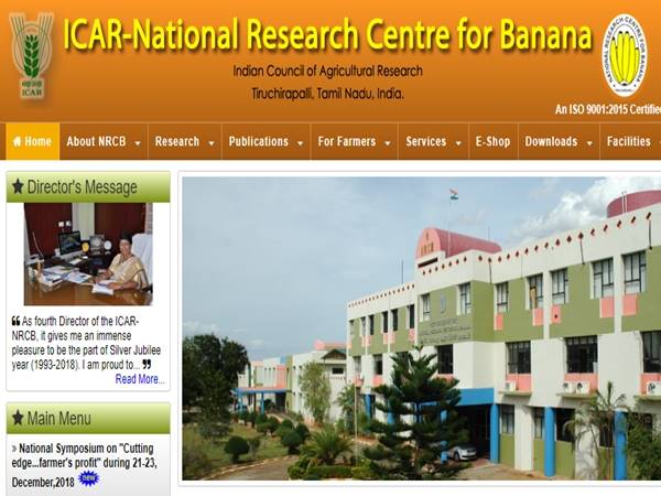 ரூ.35 ஆயிரம் ஊதியத்தில் தேசிய வாழை ஆராய்ச்சி நிறுவனத்தில் வேலை வாய்ப்பு! ரூ.35 ஆயிரம் ஊதியத்தில் தேசிய வாழை ஆராய்ச்சி நிறுவனத்தில் வேலை வாய்ப்பு!