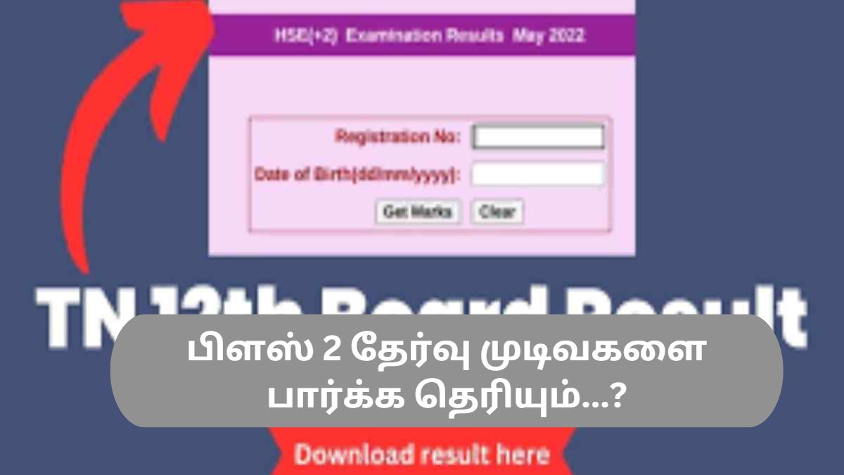 பிளஸ் 2 தேர்வு முடிவகளை பார்க்க தெரியும்...? பிளஸ் 2 தேர்வு முடிவகளை பார்க்க தெரியும்...?