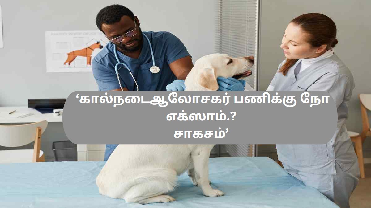 கால்நடை ஆலோசகர் பணிக்கு நோ எக்ஸாம்.? கால்நடை ஆலோசகர் பணிக்கு நோ எக்ஸாம்.?