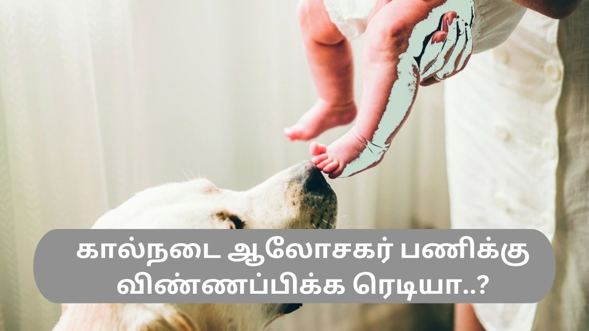 கால்நடை ஆலோசகர் பணிக்கு விண்ணப்பிக்க ரெடியா..? கால்நடை ஆலோசகர் பணிக்கு விண்ணப்பிக்க ரெடியா..?