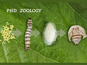 जूलॉजी में पीएचडी कैसे करें Career in PHD Zoology