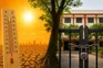 School Summer Vacation 2026 Heatwave Alerts State Wise Closure Updates 011